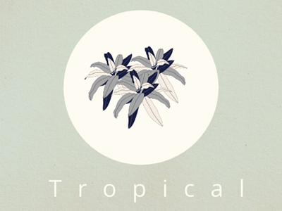 Tropics