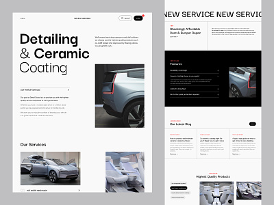 Detail Doctors website re-design car concept design landing landing page redesign ui ux web web design website