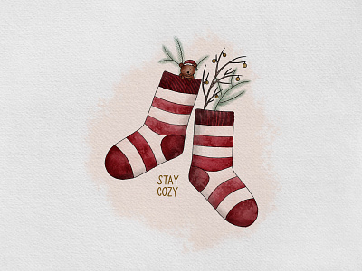 S T A Y C O Z Y bear christmas design digital watercolor drawing drawings fineline illustration socks watercolor winter xmas