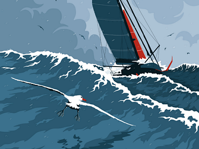 J+29 Îles Kerguelen bird boat flat illustration ocean sail sea storm