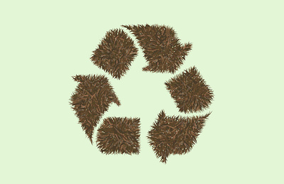 Even Sasquatch Recycles earth hair hairy illustration recycle recycling sasquatch sustainable