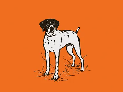 Buddy bird dog brand brand identity branding design dog drawing icon illustration logo logo design michigan