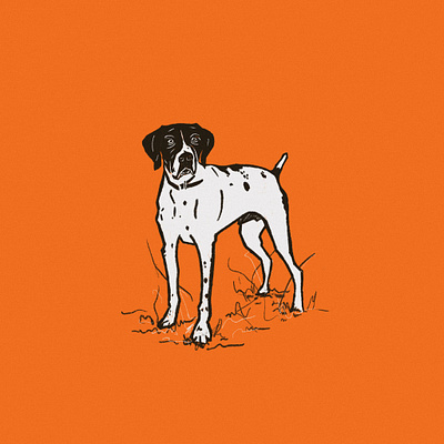 Buddy bird dog brand brand identity branding design dog drawing icon illustration logo logo design michigan