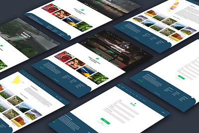 Kerala Tourism Website redesign adobe xd design ui