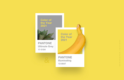 PANTONE - Color of the Years 2021 banana design grey leaf pantone yellow