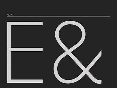 FF Basic Gothic ampersand branding design fonts geometric graphic hvd industrial sans sanserif specimen type typedesign typeface typogaphy typographic typography vector