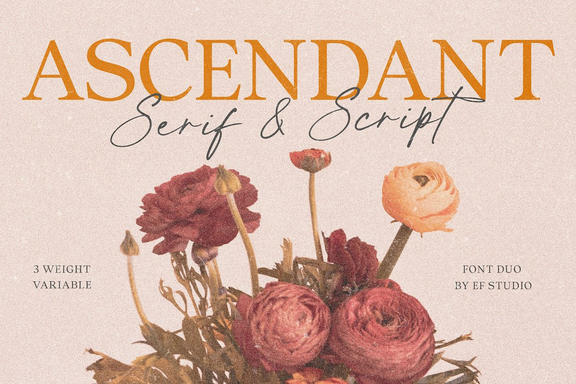 Ascendant Font Duo app font canva font classy font clean font contemporary font craft font display font fashion font handwritten instagram font modern font packaging font pairing font reading font script serif font signature font simple font social media font template font