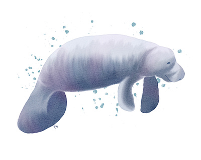 Deland Souvenir No. 1 design graphic design illustration ipad pro manatee procreate watercolor