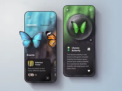 Buttterfly collection app concept butterfly design gradient illustration interactive mobile nature spices ui uidesign