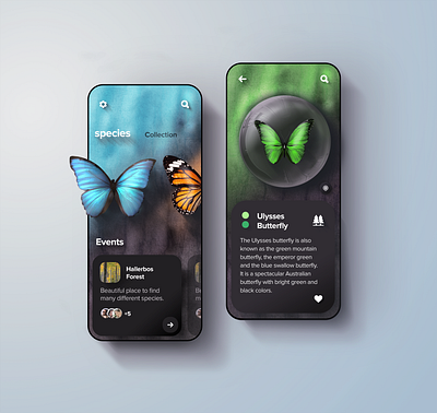 Buttterfly collection app concept butterfly design gradient illustration interactive mobile nature spices ui uidesign