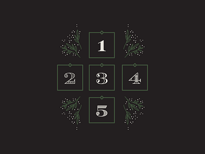 Advent Calendar advent calendar christmas floral greenery happy holidays holiday illustration mistletoe numbers typography