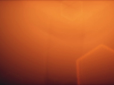 Pappus_01 3d biology c4d dandelion octane plant sun