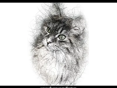 Scribble Sketch Cat pet portrait awesome awesome art cat cat portrait illustration pencil art pencil drawing pencil sketch portrait portrait art sketch sketches