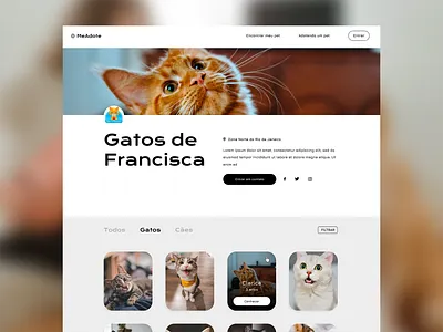 Animal Shelter Concept #1 design interface ui ux web