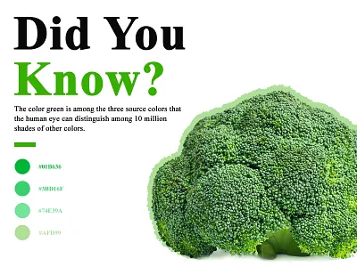 Color Fact color colortheme colortrends design didyouknow eye green greentheme human uiux webtheme