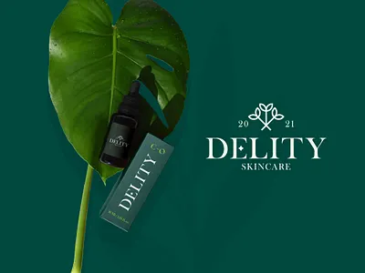 Delity Branding & Packaging Design branding design flat identity illustration logo type typography