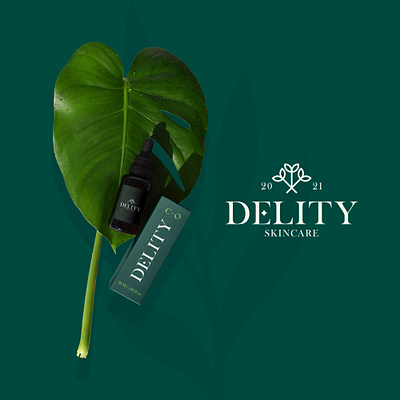 Delity Branding & Packaging Design branding design flat identity illustration logo type typography