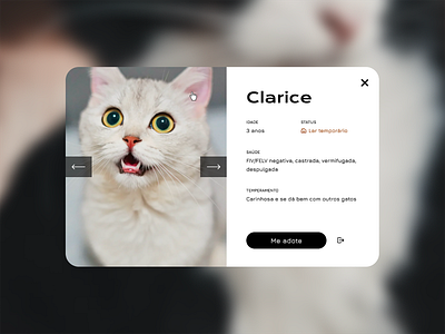 Animal Shelter Concept #2 animal animal shelter cat css design interface modal photo product status ui ux web web design website