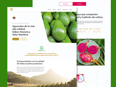 Arba - Web Design agriculture brand business design homepage interface landing page ui uidesign web design website