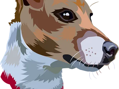 anjingsss design illustration vektor