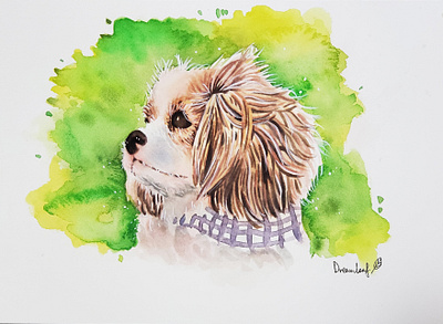 dog animal animal art dog dog illustration hand drawn illustration watercolor watercolor art watercolor painting