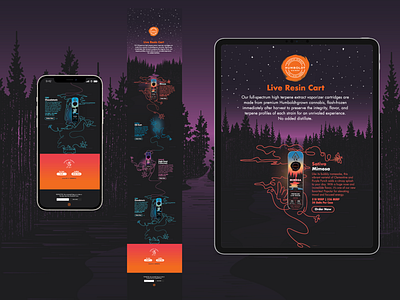 Humboldt branding design humboldt illustration mobile product ux ui website