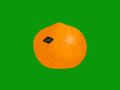 Fruit 1 holiday illustration mandarin new year orange procreate