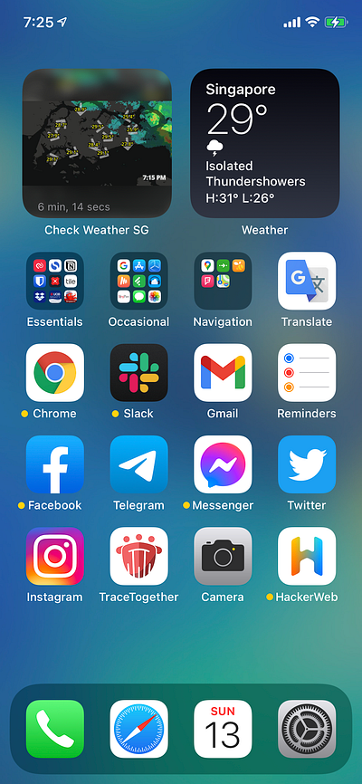 Check Weather SG iOS 14 widget ios ios14 map radar rain singapore weather widget