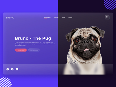 Glassmorphism UI Design Concept | Rish Designs adobe xd best design best design 2020 best designer best shot best website design dailyui dark ui figma glassmorphism hero landingpage pet app pug rish rish designs ui design ui trend web design website design