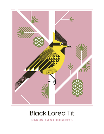 Black Lored Tit animal audubon aviary bird design flight fly geometric illustration pinecone pink texture vector yellow