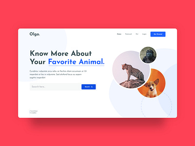 Adobe XD Daily Creative Challenge — Landing Pages adobexd animal cat daily creative challanges design homepage homepage design homepages illustration image landing pages olgo. simple design typography ui ux design vector website