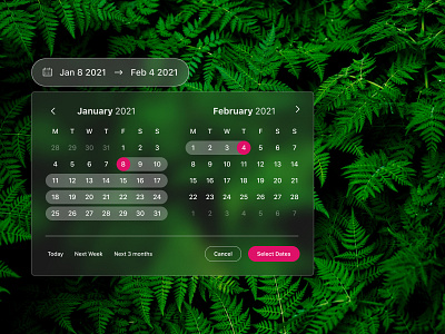 Daily UI Day 80 - Date Picker dailyui dailyuichallenge ui design