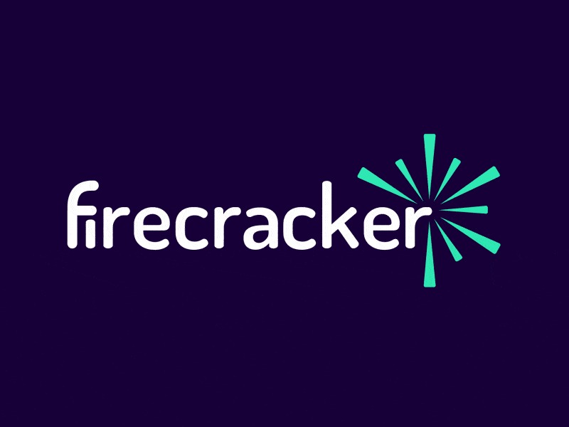 Firecracker Logo Animation animation design graphic design illustration logo motion graphics