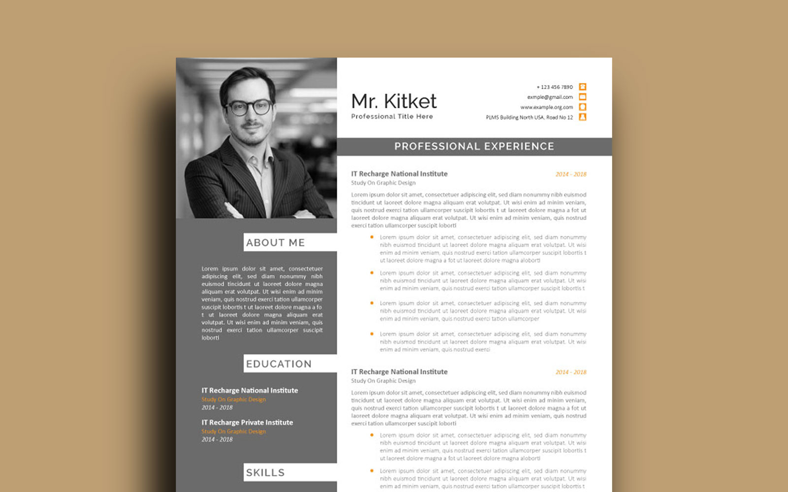 Clean 2025 Resume Template, Professional and Modern CV resume formatting