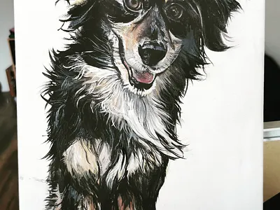 Cal amsterdam art artist artistic design dog illustration