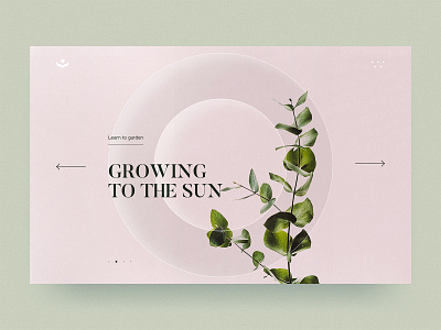 #56 Gardening carousel 🌱 | 99+ Days in the Lab arrow carousel circle desktop elegant gardening menu pink plant seed slider transition typography