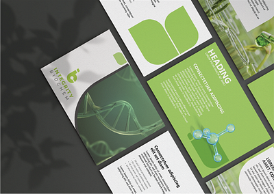 Biochem Brandguide biochem biochem branding brand identity brand identity design brandbook branding branding design eco friendly grahic design graphic design graphicdesign visual brand identity visual identity