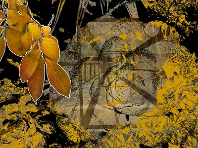 On the Way Down leaf orange photography vector vector art yellow