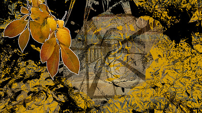 On the Way Down leaf orange photography vector vector art yellow