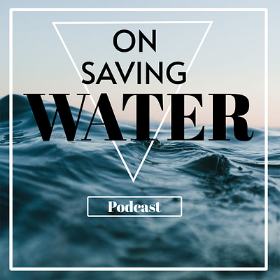 Podcast Cover Art album art cover cover design design