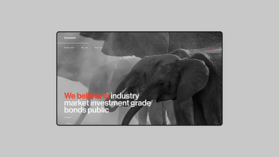 Gramstein - Website Concept Shot design ui ux web design
