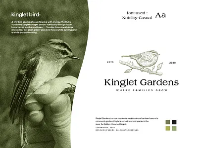 Kinglet Gardens : Logo design / illustration art artwork bird bird illustration bird logo branding design design art designer designs identity illustration illustration art illustrator logo logo design logodesign logos
