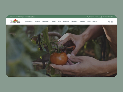 BURPEE // HOMEPAGE brand identity digital identity ecommerce gardening homepage landing page plants seeds ui uiux design web design website