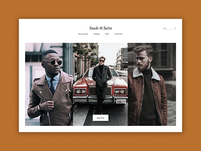 Suede & Satin brown dailyui dailyuichallenge fashion figma ui uiux web