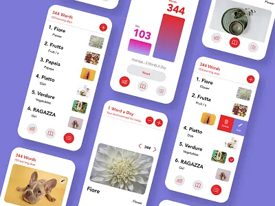 Vocabulary building app app design ios app design language app language learning study vocabulary building app