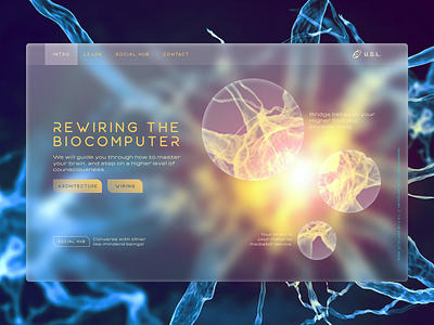 Rewiring - Interface Concept pt. 1 brain consciousness design evolution futuristic ui glassmorphism hightech interface lightworkers neuroscience paradigm rewire science screen superhuman transparent ui united galactic lightworkers web website