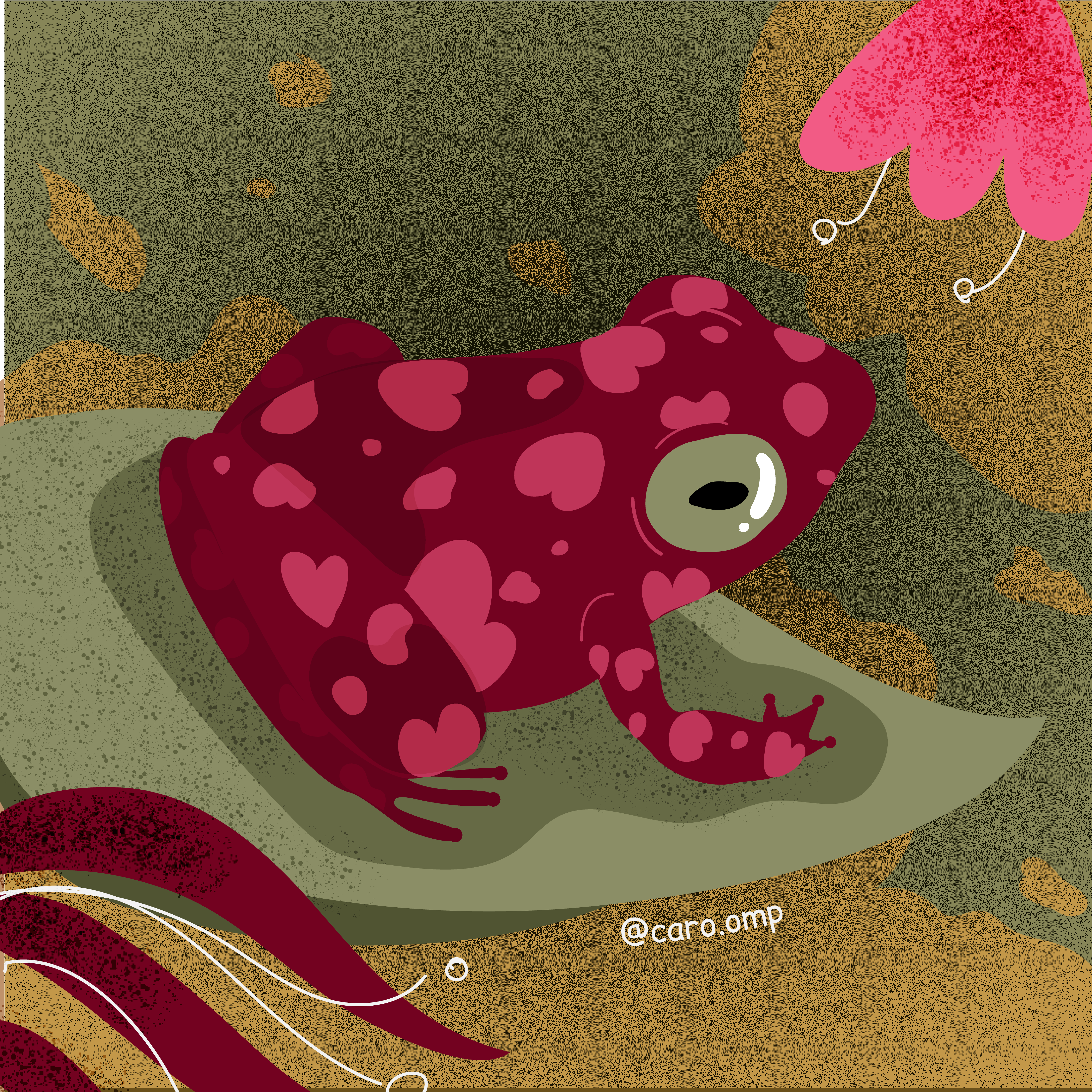 Example of Little heart frog