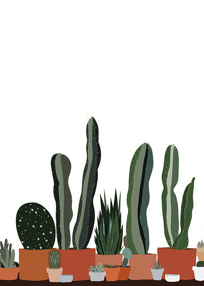 cactus art cactus illustration plants