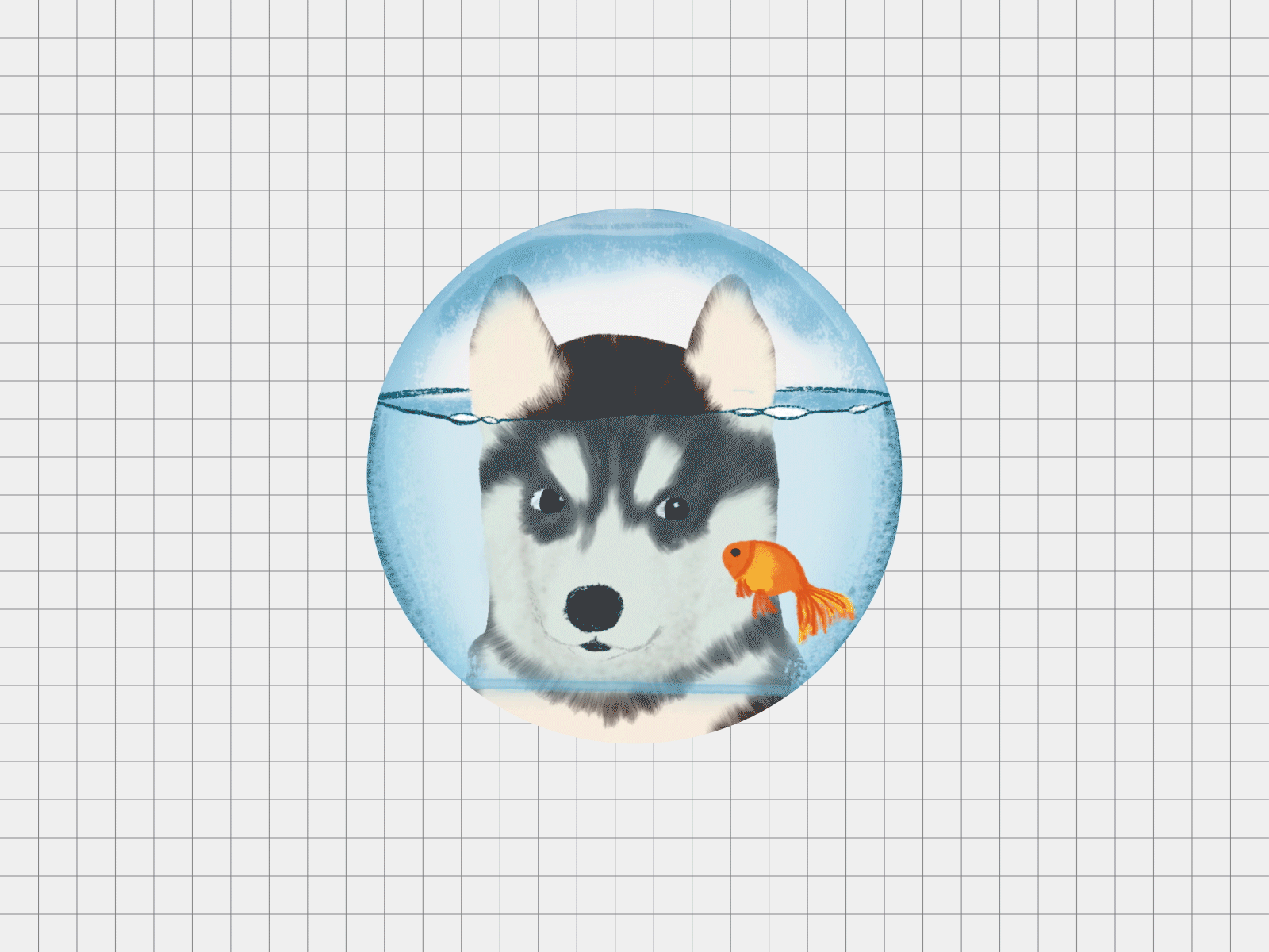 Dog in Fish Bowl GIF Loop animal animate animation dog drawings fish gif husky illustration loop motion motion graphics pet puppy