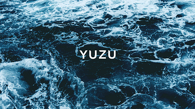 YUZU branding branding and identity branding design design el salvador logo nikkei vector